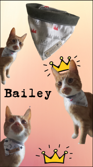 Kopie van zonder titel 5 0