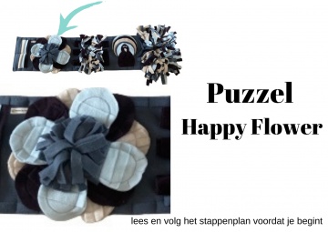 Kopie van zonder titel 55