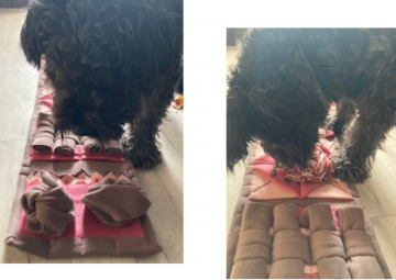 Puzzel wirwar deze puzzel kun je een stuk moeilijker maken door voertjes onder de tientallen knoopjes te doen 11