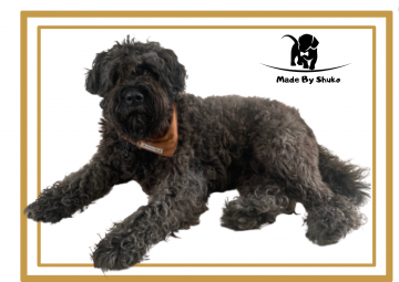 Sued 11k cognac antrac