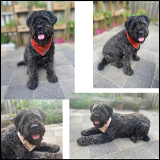 Thumbnail16ea3262 21ab 41c1 951b 49c28edc67b5