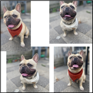 Thumbnail1c400a57 94f0 4b48 b4d7 40d28d93d31d