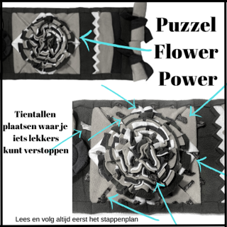 Thumbnail227f2f3e 0594 49bf 95cd 8b048f4b56bf 0