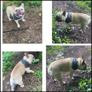 Thumbnail2e6e518c ce9d 420d aaf5 e38a42c97885