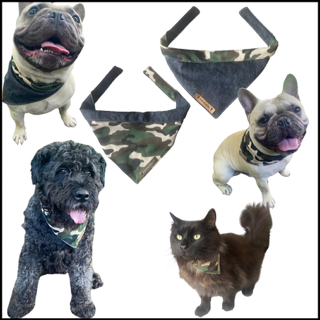 Thumbnail7d7df037 c8ee 4863 8b5c e5938871fe13