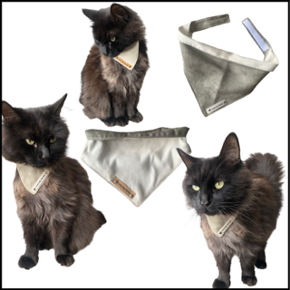 Thumbnailontwerp zonder titel 16