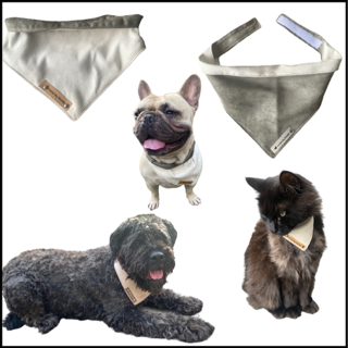 Thumbnailontwerp zonder titel 17