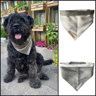 Thumbnailontwerp zonder titel 18