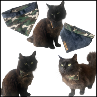 Thumbnailontwerp zonder titel 20