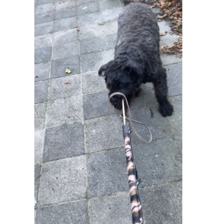 Thumbnailontwerp zonder titel 44 0