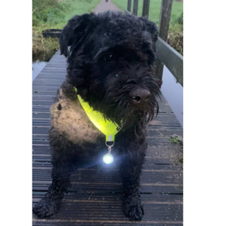 Thumbnailontwerp zonder titel 51