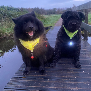 Thumbnailontwerp zonder titel 53