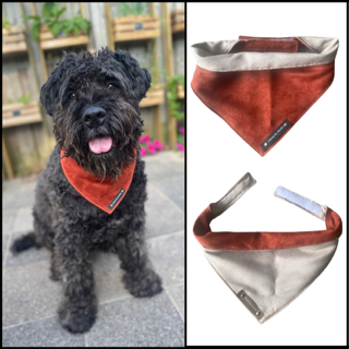 Thumbnailontwerp zonder titel 7