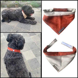 Thumbnailontwerp zonder titel 8