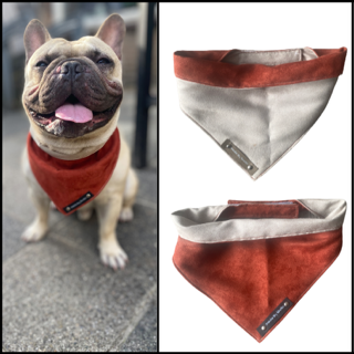 Thumbnailontwerp zonder titel 9