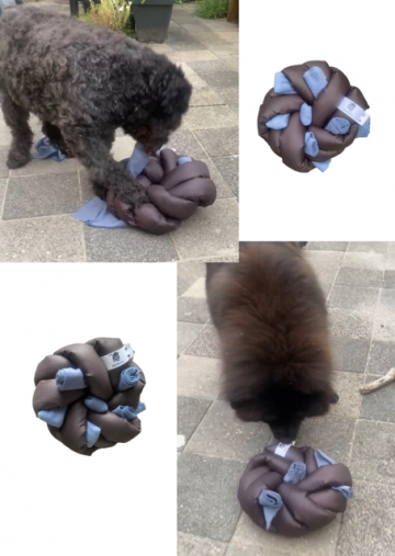 Thumbnailontwerp zonder titelpng 5