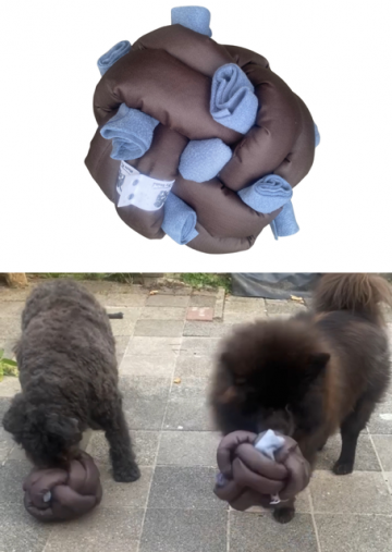 Thumbnailontwerp zonder titelpng 6