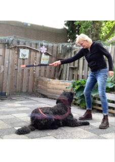 Thumbnailuntitled design 1