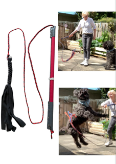 Thumbnailuntitled design 2