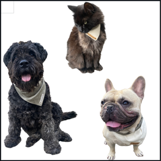 Thumbnailzonder titel uitnodiging vierkant