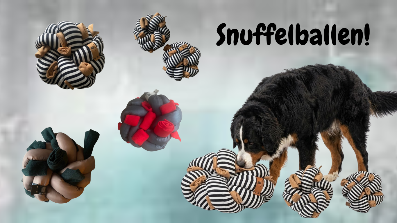 snuffelkussen